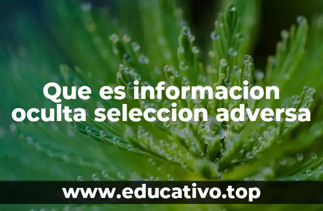 Que es informacion oculta seleccion adversa