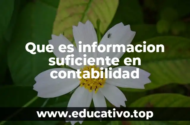 Que es informacion suficiente en contabilidad