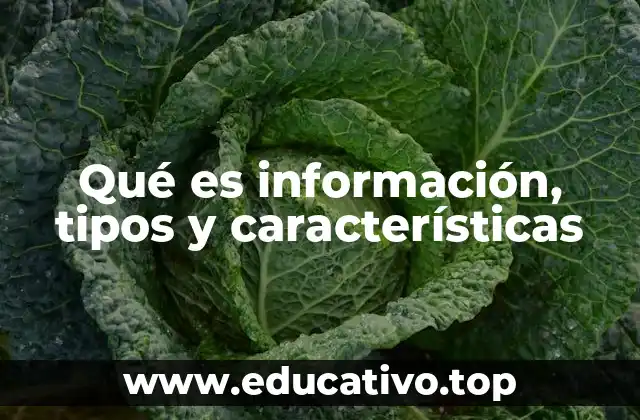 La importancia de comprender la información en la sociedad actual