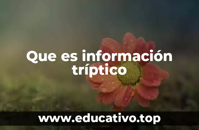 Que es información tríptico