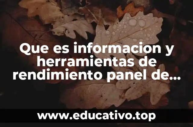 La importancia de la visualización en la gestión moderna