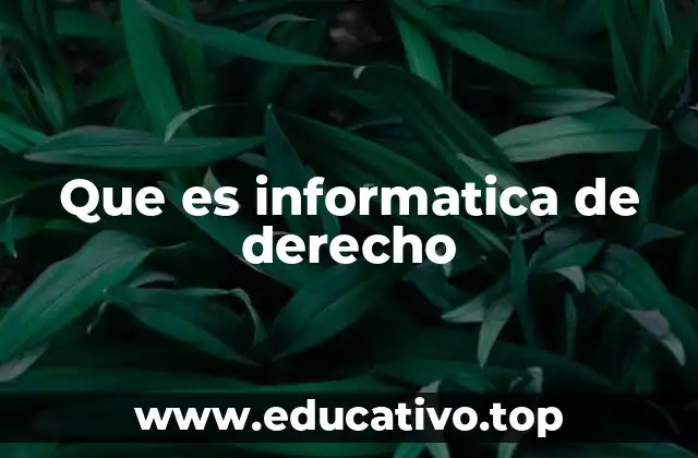 Que es informatica de derecho