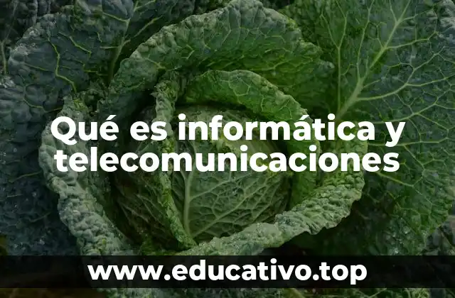 Qué es informática y telecomunicaciones