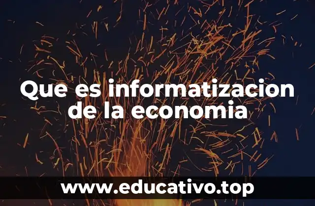 Que es informatizacion de la economia