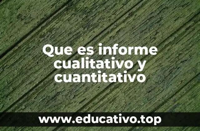 Que es informe cualitativo y cuantitativo