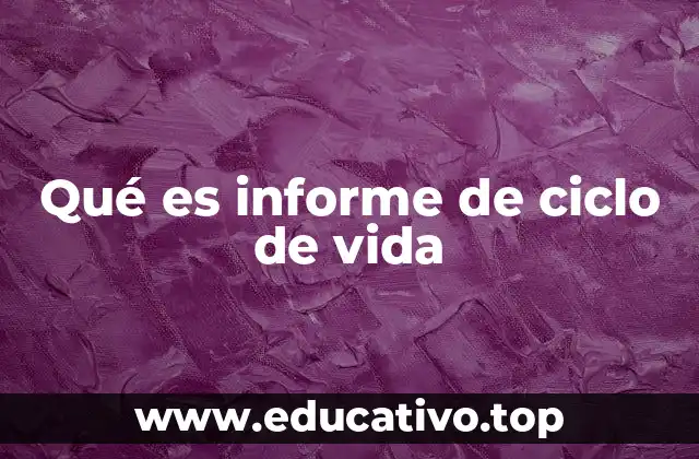 Qué es informe de ciclo de vida
