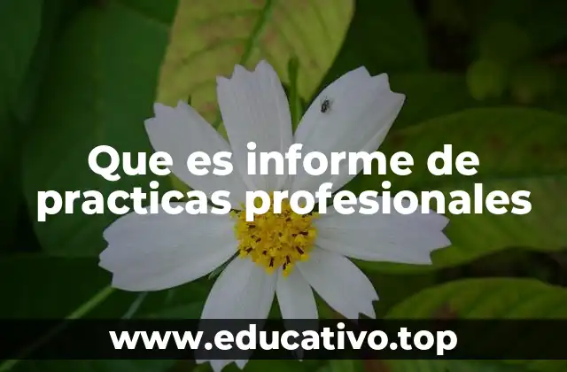 Que es informe de practicas profesionales