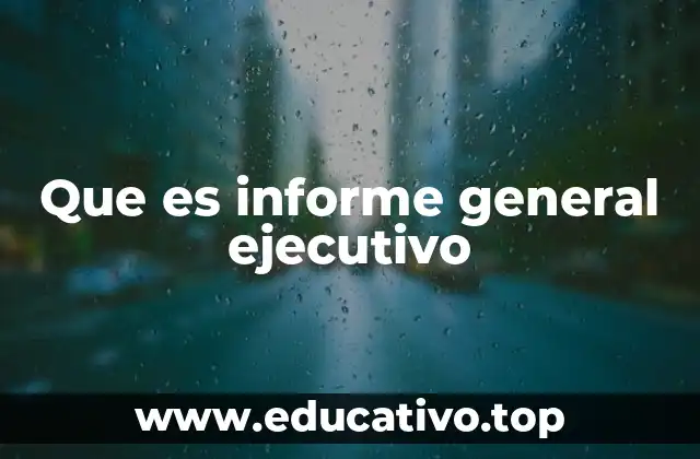 Que es informe general ejecutivo