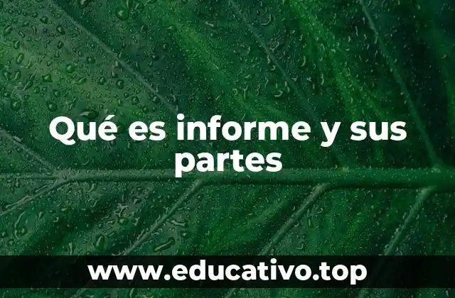 Qué es informe y sus partes