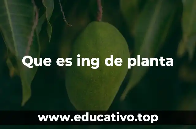 Que es ing de planta