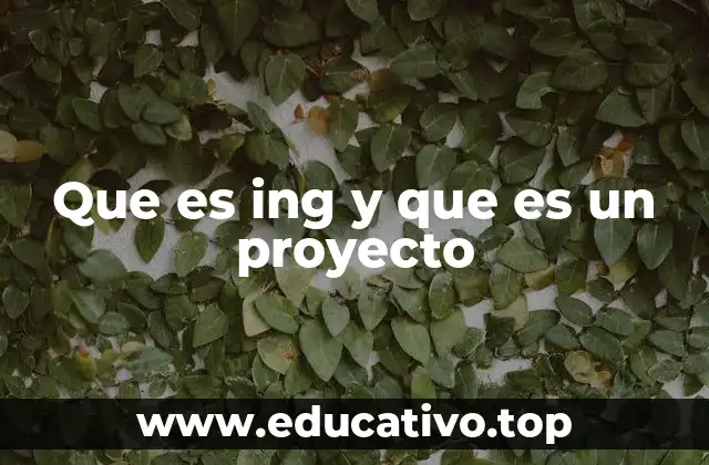 Que es ing y que es un proyecto