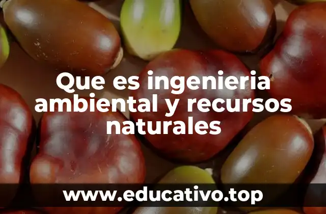 Que es ingenieria ambiental y recursos naturales