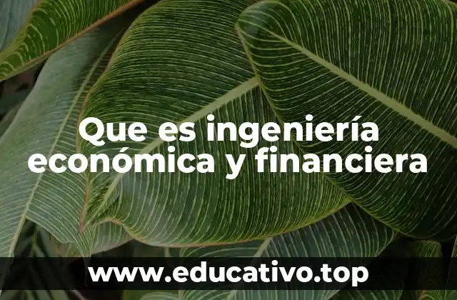 Que es ingeniería económica y financiera