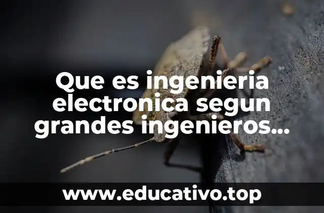 Que es ingenieria electronica segun grandes ingenieros electronicos