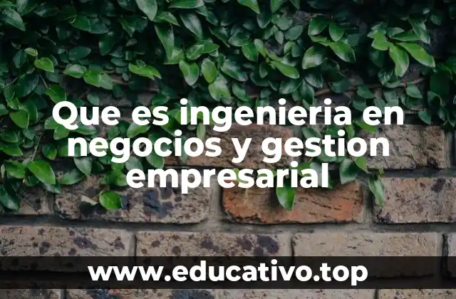 Que es ingenieria en negocios y gestion empresarial