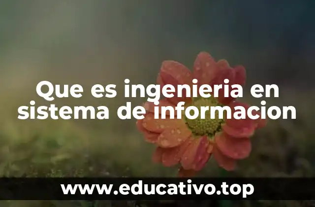 Que es ingenieria en sistema de informacion