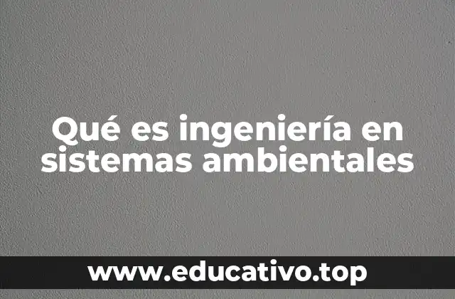 Qué es ingeniería en sistemas ambientales