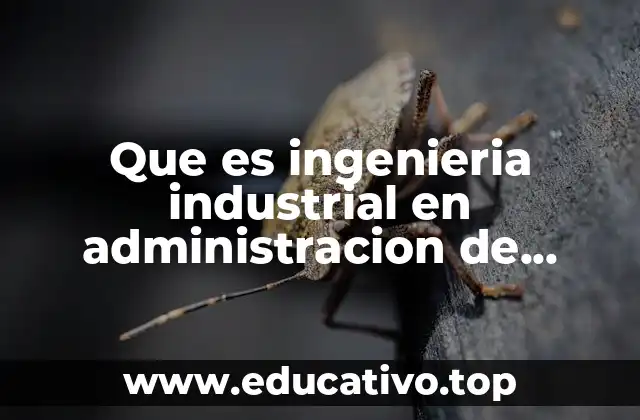 Que es ingenieria industrial en administracion de mantenimiento