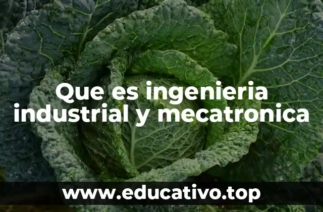 Que es ingenieria industrial y mecatronica