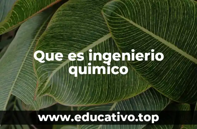 Que es ingenierio quimico
