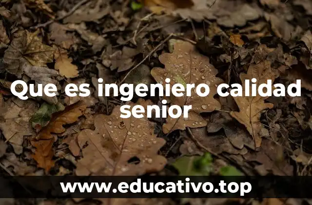 Que es ingeniero calidad senior