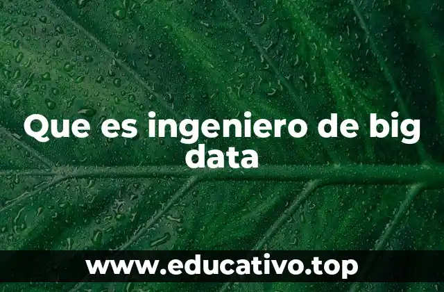 Que es ingeniero de big data