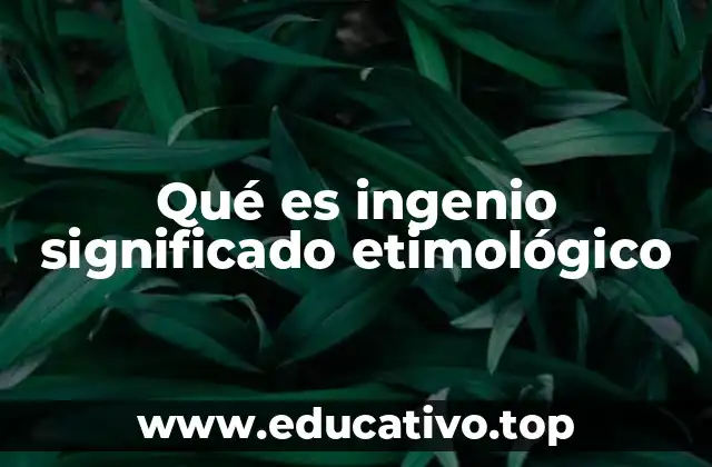 Qué es ingenio significado etimológico