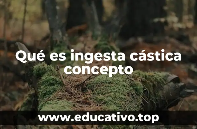 Qué es ingesta cástica concepto