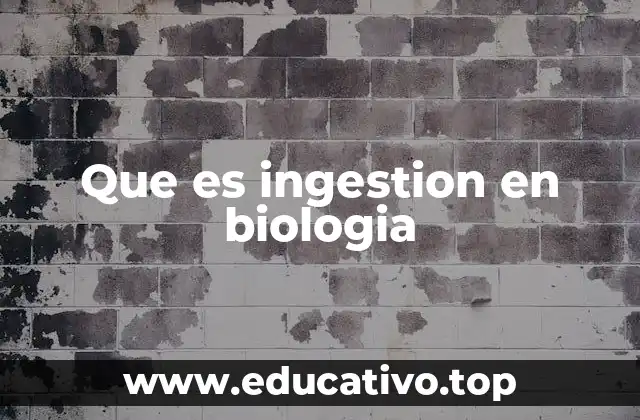 Que es ingestion en biologia