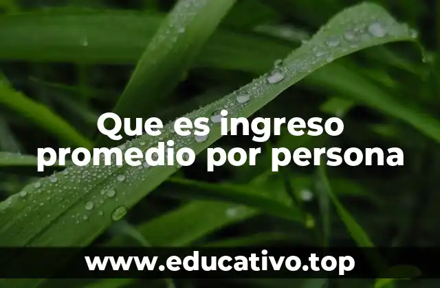 Que es ingreso promedio por persona