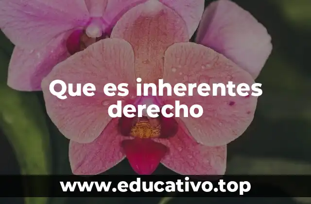 Que es inherentes derecho