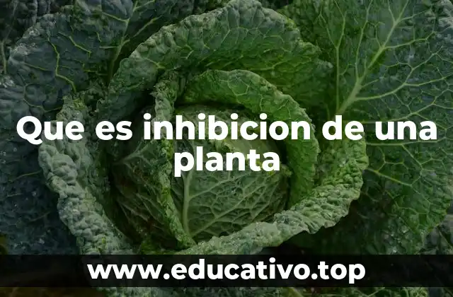 Que es inhibicion de una planta