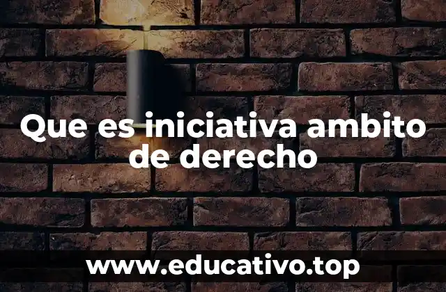 El papel de la iniciativa en el sistema legal