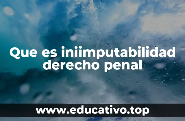 Que es iniimputabilidad derecho penal
