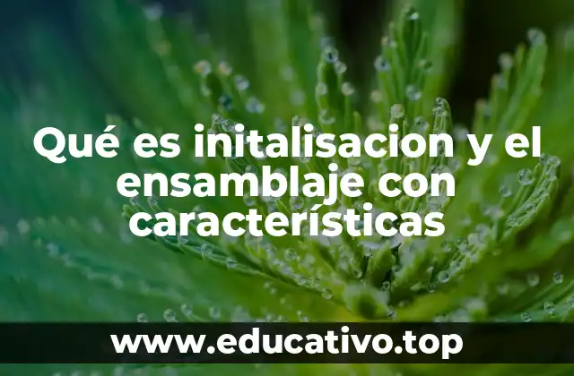 Qué es initalisacion y el ensamblaje con características