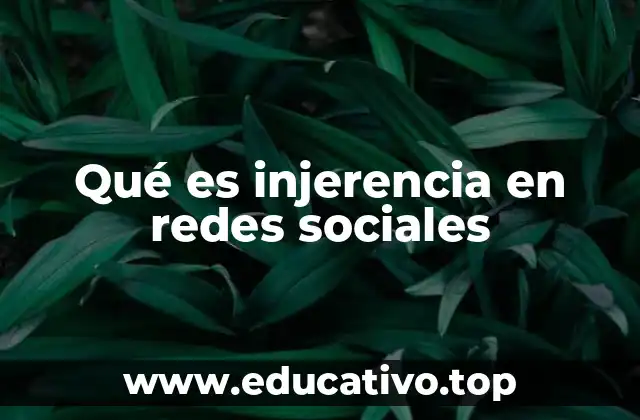 Qué es injerencia en redes sociales