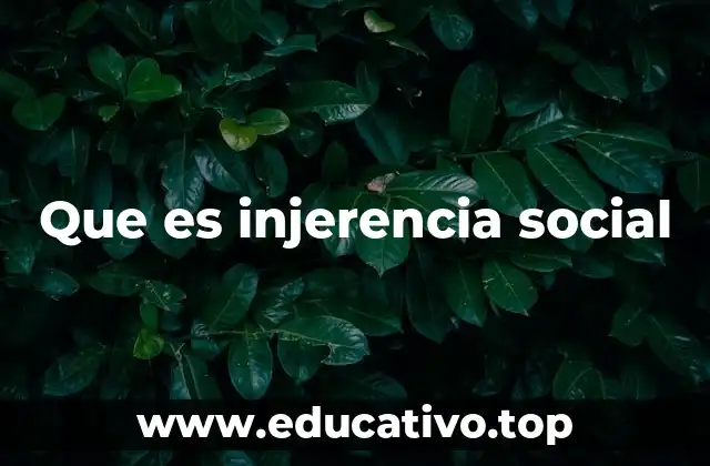 Que es injerencia social