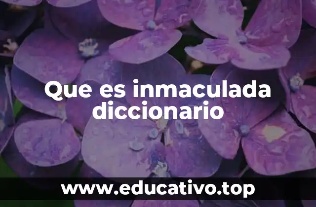 Que es inmaculada diccionario
