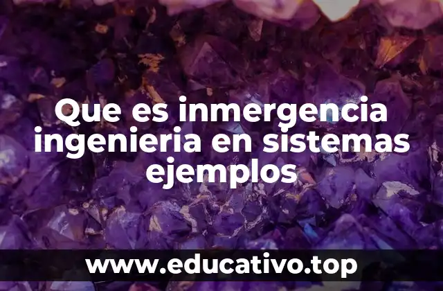 Que es inmergencia ingenieria en sistemas ejemplos