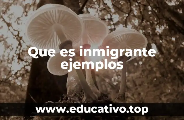 Que es inmigrante ejemplos