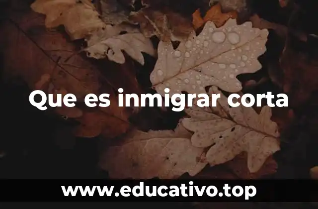 Que es inmigrar corta