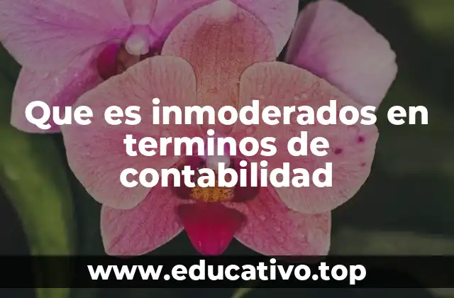 Que es inmoderados en terminos de contabilidad