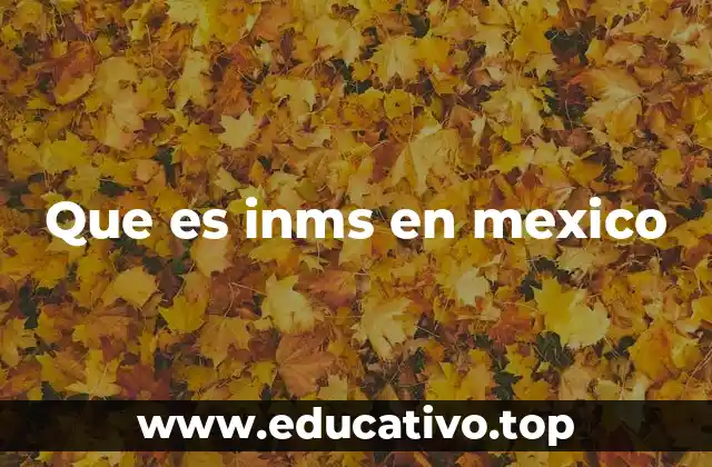 Que es inms en mexico