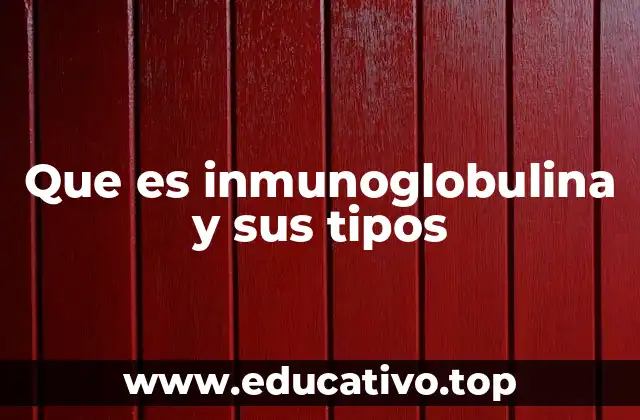 Que es inmunoglobulina y sus tipos