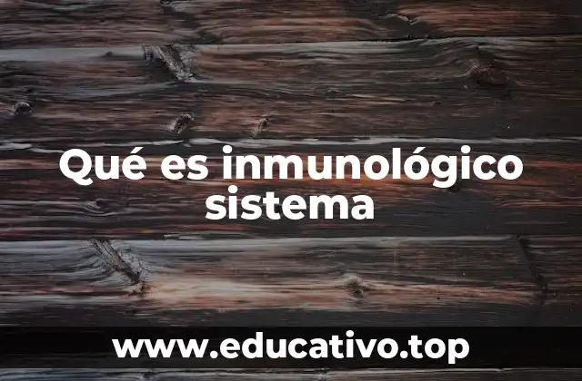 Qué es inmunológico sistema