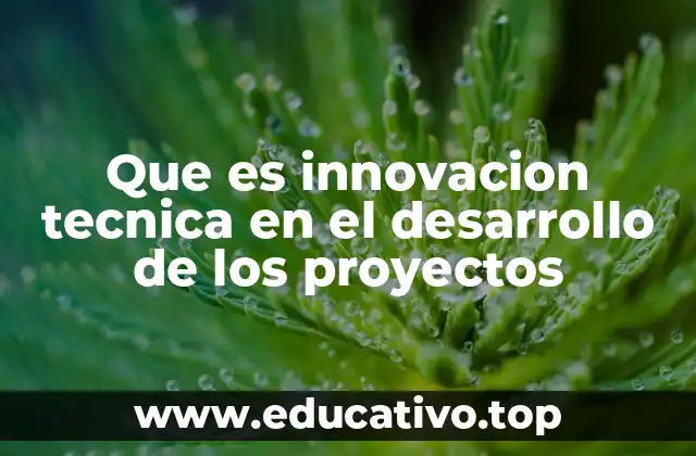 Que es innovacion tecnica en el desarrollo de los proyectos