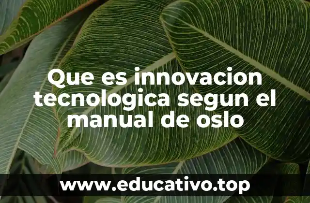 Que es innovacion tecnologica segun el manual de oslo