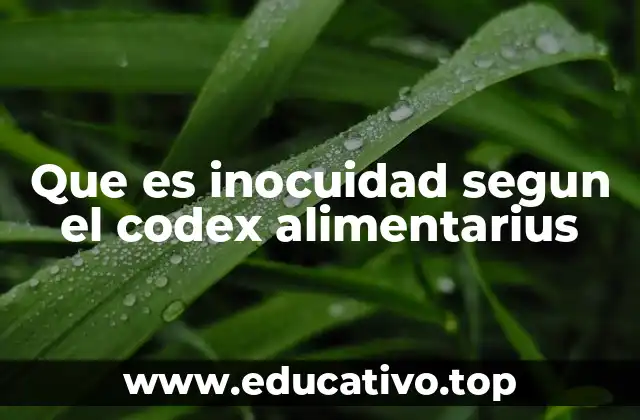 Que es inocuidad segun el codex alimentarius