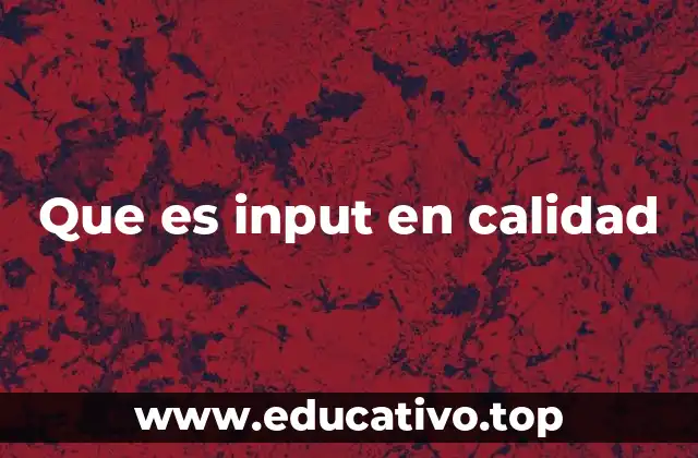 Que es input en calidad