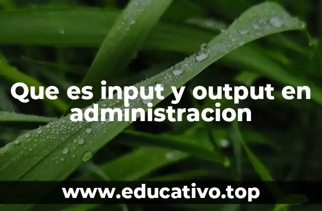 Cómo los conceptos de entrada y salida optimizan la gestión empresarial